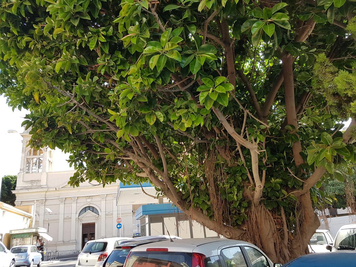Hotel Da Agnese Locazioni Brevi Cagliari Exterior foto